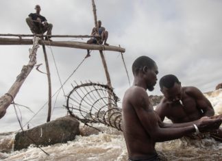 Pictures: DRC fishing group turns to tourism as shares dwindle | Enterprise and Economic system Information 000 32HR32Q