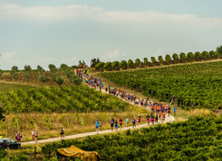 Istria ups its sustainable tourism credentials 1663323202 image