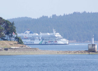 Residents might help increase tourism by sharing finest issues about Nanaimo – Nanaimo Information Bulletin 30492842 web1 220921 NBU best of tourism 1 1 1024x683