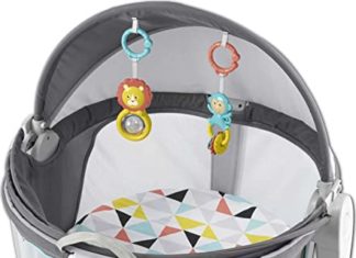 Fisher-Worth Moveable Bassinet and Journey Play Space with Child Toys, Indoor and Outside Use, On-the-Go Child Dome, Windmill 415mnsum75L