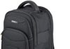 StarTech.com Unisex Backpack Ergonomic Pc Bag with Detachable Accent Case-Laptop computer/Pill Pockets-Nylon, Black, 15.6″ 41ibLhIYldL. AC