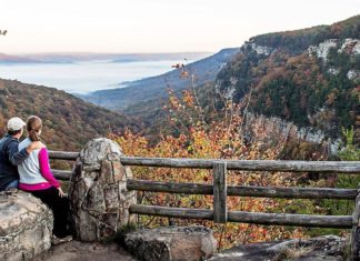 Georgia State Parks’ ‘Leaf Watch’ supplies journey ideas for leaf peepers | Native 6324997b9a90e.image