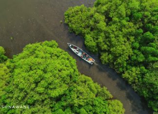 How ecotourism in Konkan promotes climate-friendly tourism DJI 0080 01