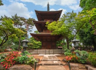 Right here Are 10 Issues Distinctive To Tokyo Gotokuji Temple in Tokyo Japan