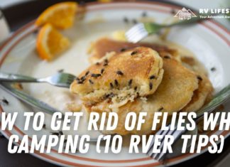 How To Get Rid Of Flies Whereas Tenting (10 RVer Ideas) How to Get Rid of Flies While Camping social2