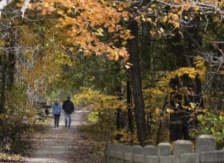 7 Small However Mighty Nature Locations In Starved Rock Nation – Shaw Native KSH44JVTH5G5JFNJZSWUSMWCFI