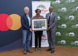 How Mastercard is Supporting Submit-Pandemic Restoration of Tourism Sector in Kenya – TechEconomy Nigeria Mastercard Kenya Tourism