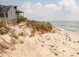 9 Quaint Cottage Airbnbs On Martha’s Winery Oceanview cottage on Marthas Vineyard scaled
