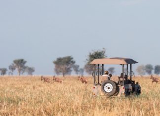 Regenerative Journey Is the Subsequent Section of Accountable Tourism Usangu h