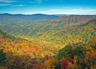 Georgia State Parks’ 2022 “Leaf Watch” Supplies Journey Suggestions for Leaf Peepers Vogel Overlook 1000px