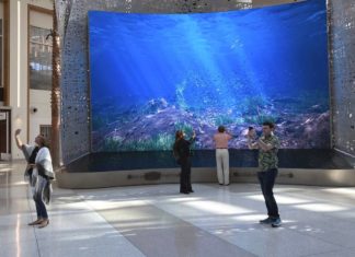 from Orlando’s new terminal to Beijing’s star-fish hub WJ4VTFXI3BJIA2CYQBW4FOPXLY