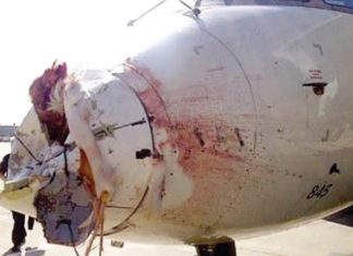 Lagos highest as Nigerian airports document 90 fowl strike incidents in H1 2022 bird strike airplane