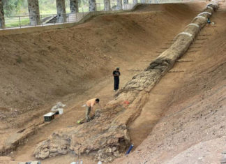 Historic log web site eyed as tourism hotspot c1 2394038 220917181256 700