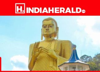 Have fun Dussehra in Sri Lanka with this time journey suggestions celebrate dussehra in sri lanka with this time travel tipsf084bcf3 a741 4a8b 843d ad70467327da 415x250 IndiaHerald