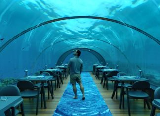 5 Ideas To Take Higher Trip Photographs maldives underwater restaurant 052859 scaled