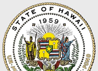 Division of Transportation | Hawaii Statewide Transportation Plan Public Engagement Survey og image