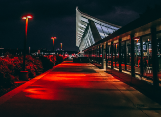 Greatest Methods to Kill Time at DC’s Airports pexels jayson gomes 2889443 1