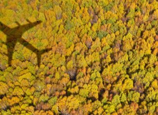 5 Suggestions for Touring at Thanksgiving on Airways thanksgiving air travel zz 220923 fb7bdd