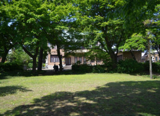 Tokyo’s suburban gardens ought to put together now for post-pandemic tourism tokyos suburban garden