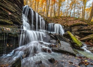 Fall highway journeys: The place all you Ar-kan-go within the Pure State Longpool Lower Falls 201911 KSJ 3374ps12