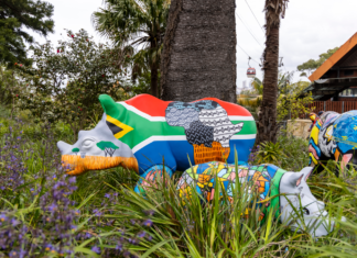 South African Tourism companions up with Taronga Zoo – Journey Weekly Screenshot 2022 10 04 114304