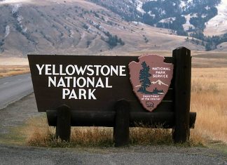 Suggestions for Traversing the Well-known Yellowstone Nationwide Park The Hollywood Insider Yellowstone National Park Travel Tips