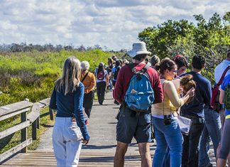 U.S. Guests Increase Florida Tourism Trade – Tallahassee Reviews Tourism