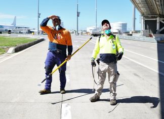 The World’s Greatest Airports Confront a Tiny however Critical Security Risk—Wasps social