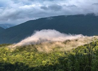 Mazandaran’s pure heritages want to achieve foothold on tourism map