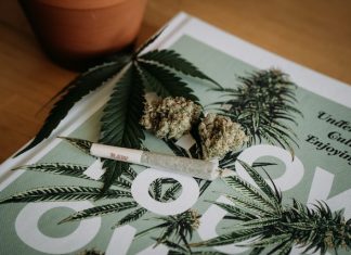 Vacationer Locations The place Hashish Is Authorized