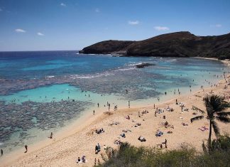 Vacationers Are Loving Hawaii’s Coral Reefs To Demise