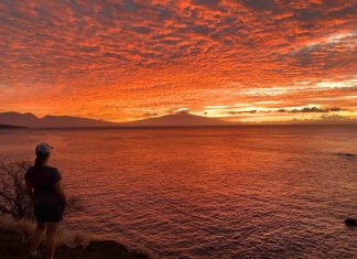 The 9 Greatest Seaside Locations For Households