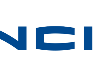VINCI Airports – 2022 visitors ranges