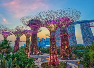 The place are Chinese language vacationers heading now that borders have reopened?