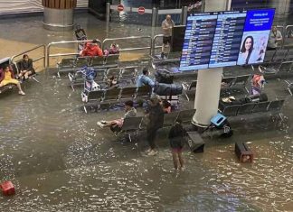 Worldwide arrivals at Auckland Airport resume