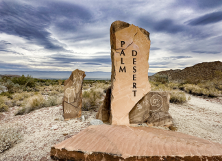 Journey: The winter magic of Palm Desert