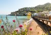 A Information to the Finest Issues to do in Sausalito