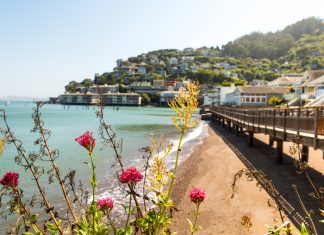 A Information to the Finest Issues to do in Sausalito