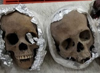 4 human skulls wrapped in tin foil found at Mexican airport | World Information