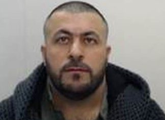 Individuals smuggling gang boss Tarik Namik arrested at Manchester Airport after happening the run | UK Information