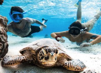Frustration grows as tourism operator silent whereas complaints maintain rolling in