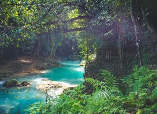 7 Bucket Listing Cruise Locations