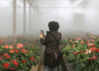 Pakdasht to show into farm tourism hub