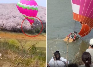 Terror as sizzling air balloon carrying vacationers crashes into lake