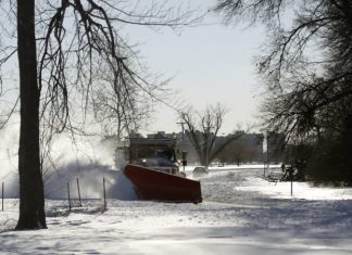 Are you a type of Michigan drivers who forgets how one can drive when it snows? Listed here are some ideas