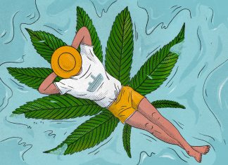 Are you able to deliver weed on a cruise? What to know concerning the guidelines at sea.
