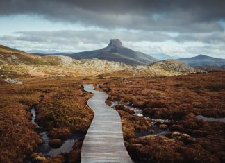 Tourism Tasmania appoints Pink Havas as world communications company of file – Marketing campaign Temporary Asia