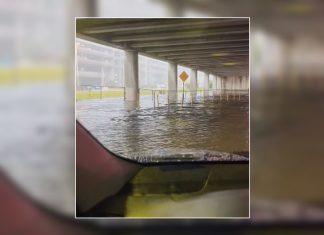 FLL Halts Flights, Site visitors As a result of Dangerous Climate – NBC 6 South Florida