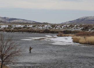 Main Wyoming land buy might enhance tourism with out huge tax hit, evaluation finds
