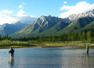 Greatest Fly Fishing States: A Take a look at the High Fly Angling Locations within the US 2023